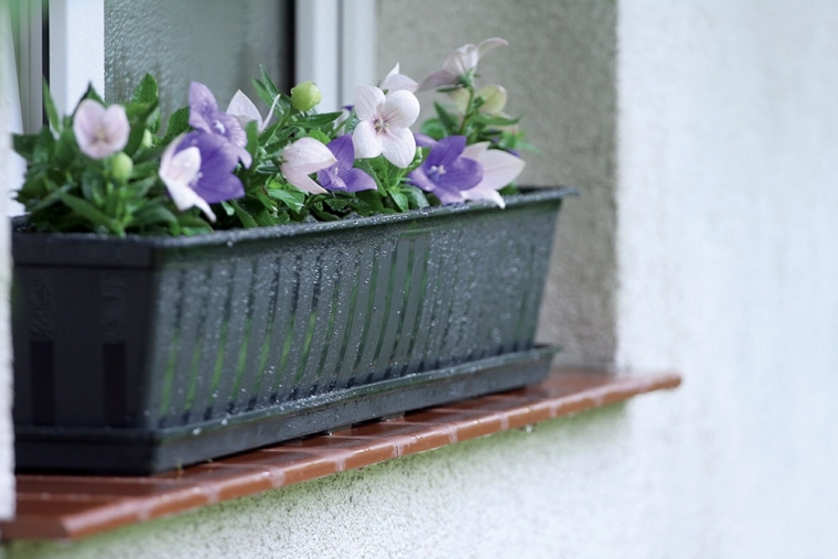 Doordachte drainage en gezonde wortels