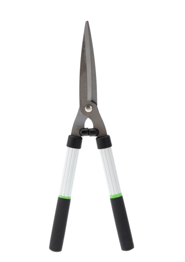 Precieze snede en vormgeving van hagen