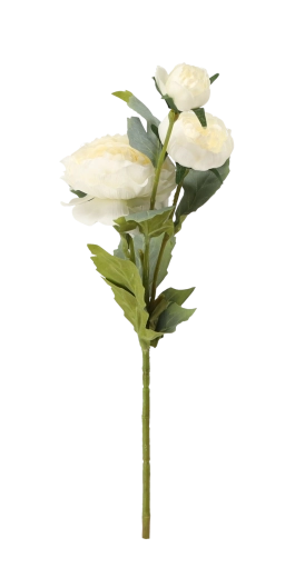 Ideaal voor vaas en arrangementen