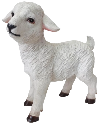 Realistische details voor een authentieke kerststal