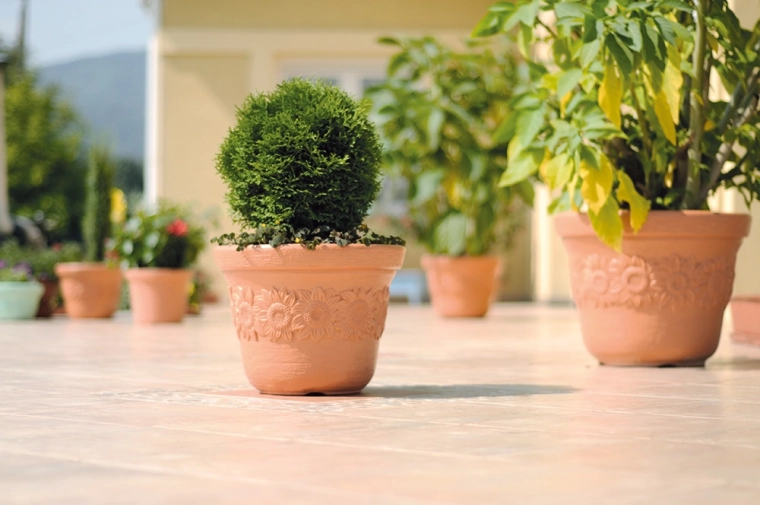 Geschikt voor terras en tuin