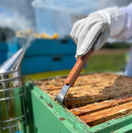 Eenvoudig loswrikken en optillen van ramen