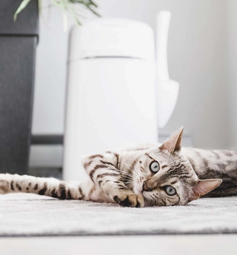 Praktische accessoires en draaggemak