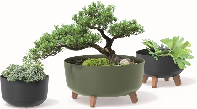 Ecologische collectie ECO WOOD