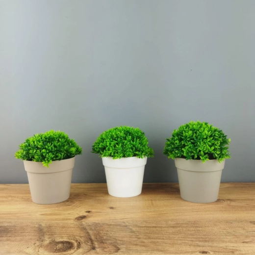 Compacte aanvulling voor het interieur