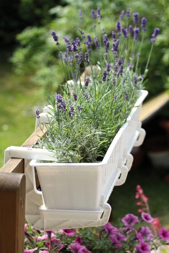 Veilige bevestiging met verstelbare schroef