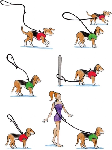 Drie verstelbare lengtes voor elke situatie