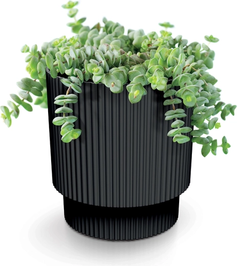 Ondersteunt drainage en gezonde wortelgroei