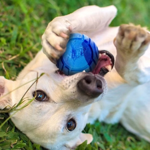 Een geur die uitnodigt tot spelen