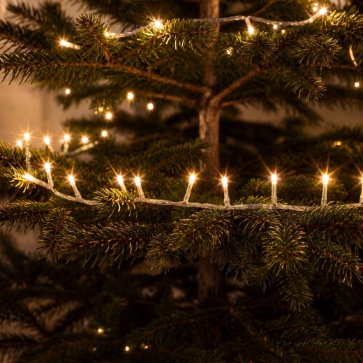Warm wit licht voor een gezellige sfeer