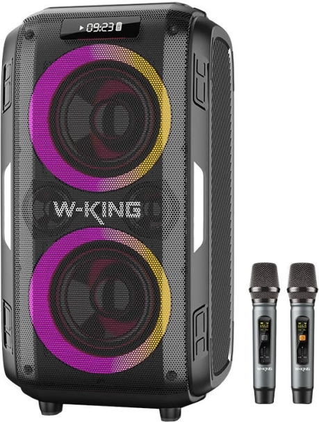 Draadloze luidspreker W-KING T9 Pro met 120 W vermogen en 2 microfoons – zwart
