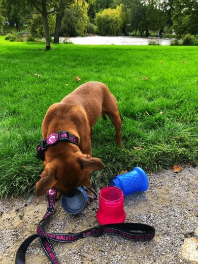 Reisdrinkbak in een handomdraai