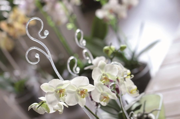 Decoratieve steun die de schoonheid van de bloemen accentueert