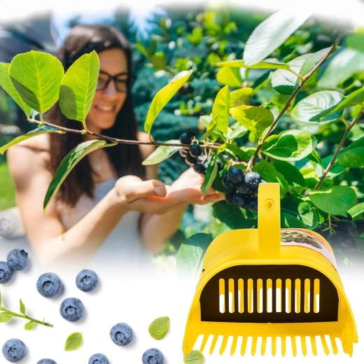 Schonere oogst zonder bladeren