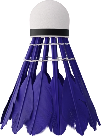 Snelle en stabiele vlucht met eendenveren