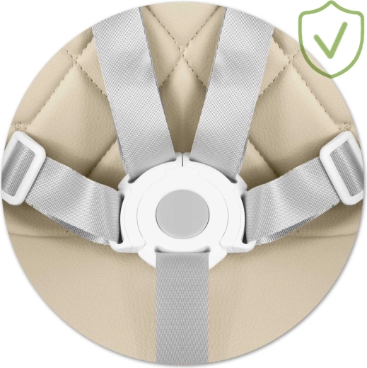 Maximale veiligheid met 5-puntsgordel