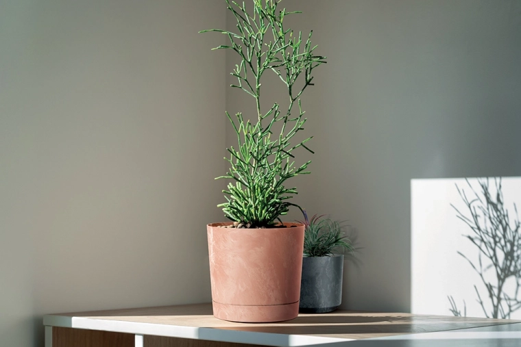 Licht, duurzaam en klaar voor binnen en buiten