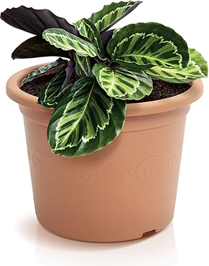 Praktische drainage voor gezonde wortels