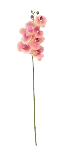 Lengte 74 cm voor elegante schikkingen