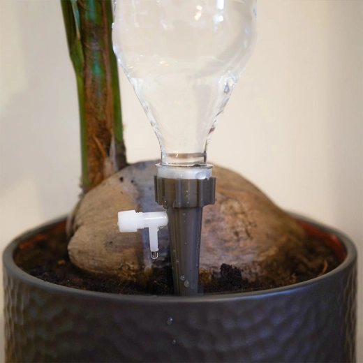 Stabiele verankering in de bloempot