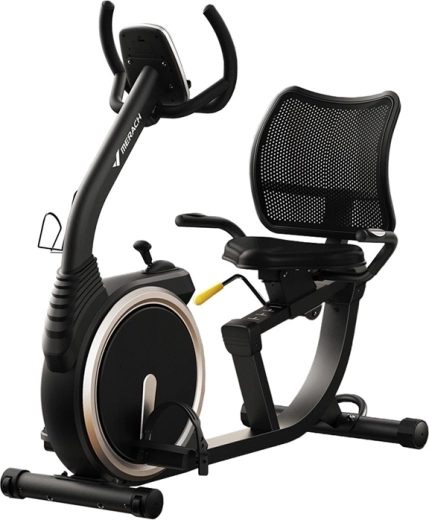 Ligfiets MERACH MR-S19