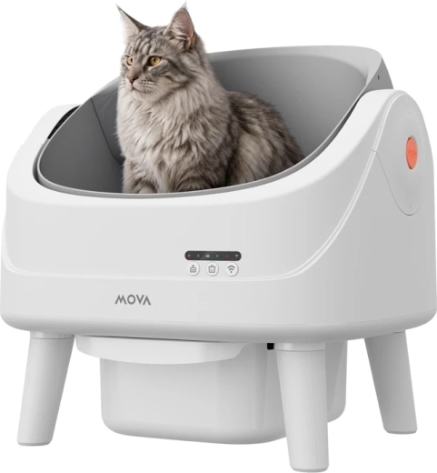 Veilige open ruimte voor de kat