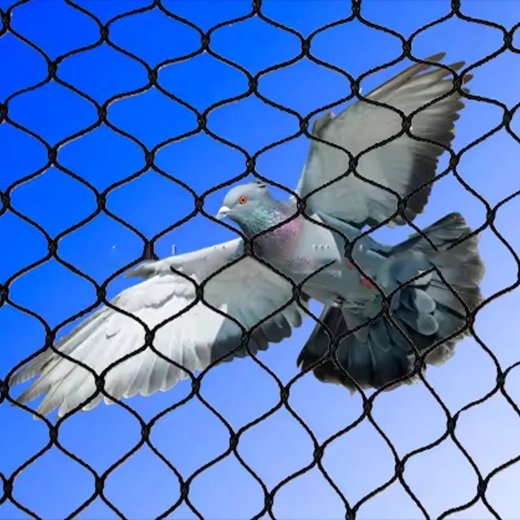 Effectieve barrière tegen vogels