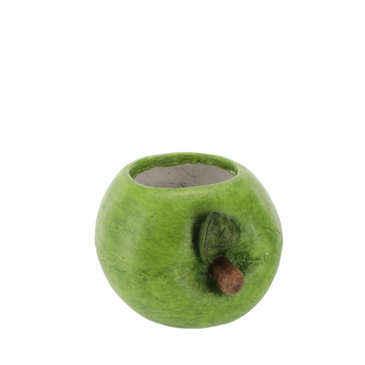 Ideale afmetingen voor kruiden en kleinere planten