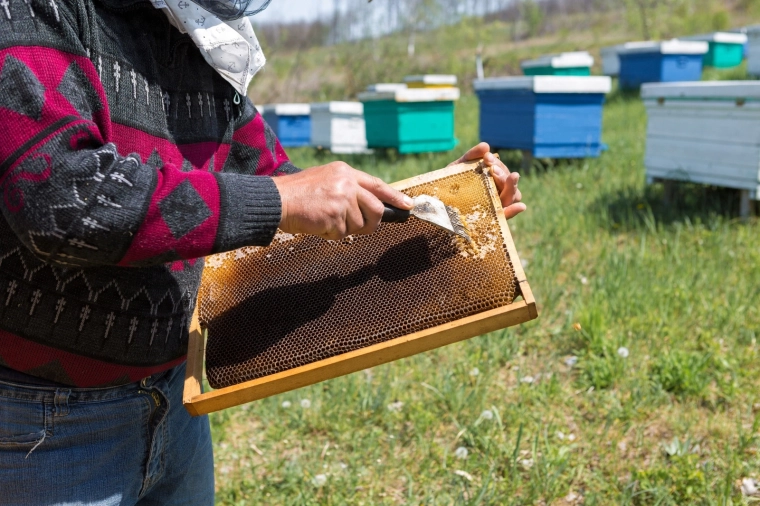 Sneller werken in de bijenstal