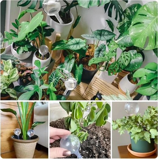 Geleidelijke bewatering tot 2 weken