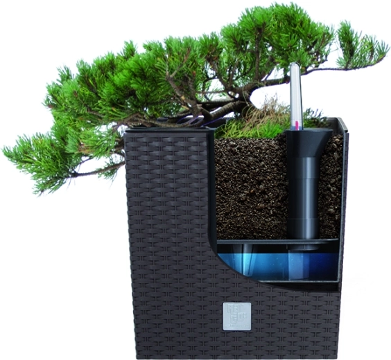 Uitneembare inzet voor eenvoudig planten