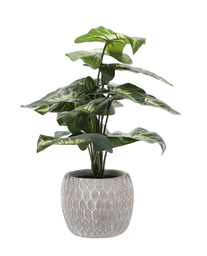 Stijlvolle en stabiele bloempot