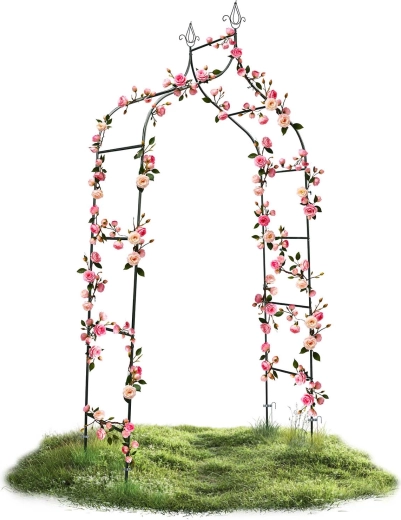 Perfecte steun voor klimplanten