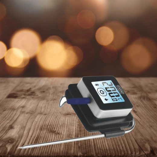 Precieze RVS sonde en helder LCD-display