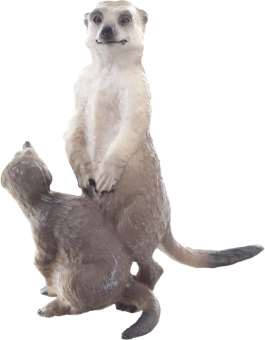 Stabiele en decoratieve uitvoering