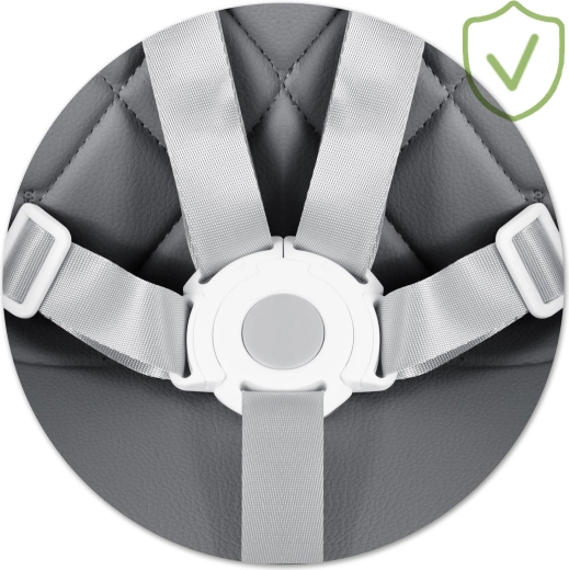 Maximale veiligheid met 5-puntsgordel