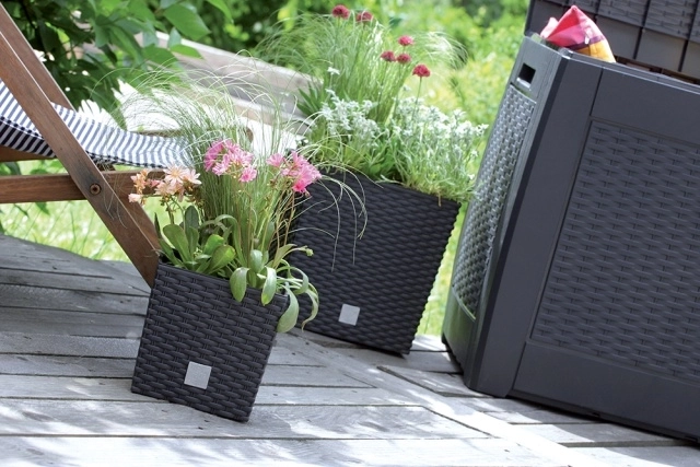 Stijlvolle rotanlook voor elke ruimte