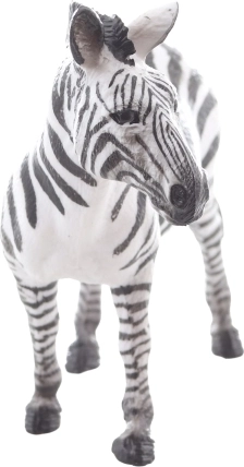 Ideaal voor onderwijs en collecties