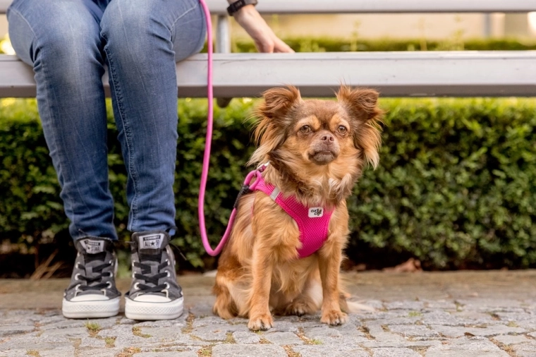 Minder rukken voor comfortabelere wandelingen