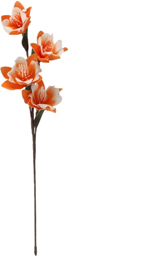 Meerdere bloemen aan één steel