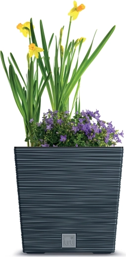 Voor planten binnen en buiten