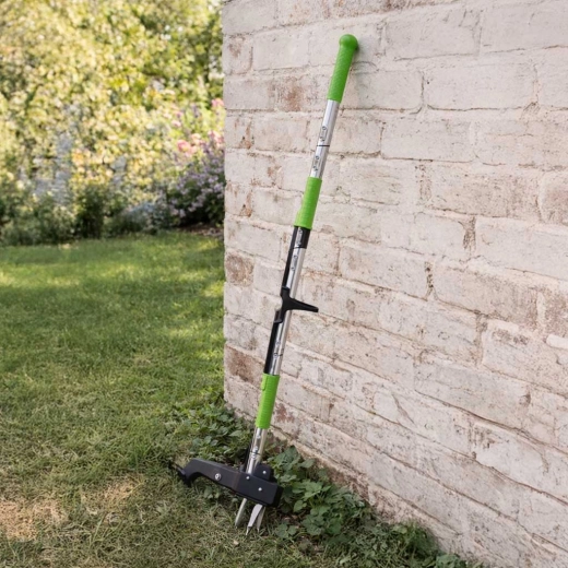 Klauwen die ook sterke wortels vastgrijpen