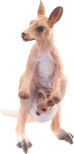 Compact formaat voor kleine handjes