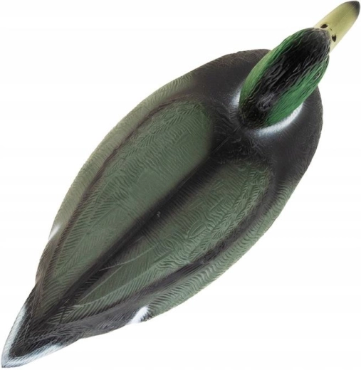 Drijvende constructie voor de vijver