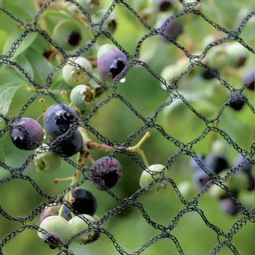Betrouwbare bescherming van oogst en planten
