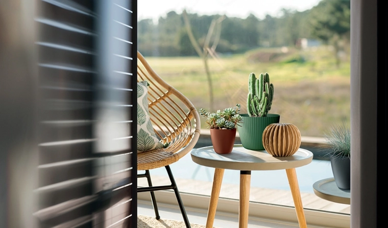 Ideale afmeting voor kleine planten