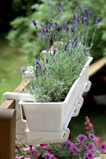 Strak design voor iedere ruimte