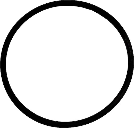 O-ring van het voorfilterdeksel voor ProStar 6000 filtratie