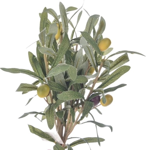 Groene olijftakken (3 stuks)