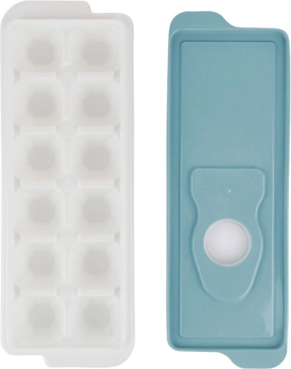 12 ijsblokjes voor elke gelegenheid